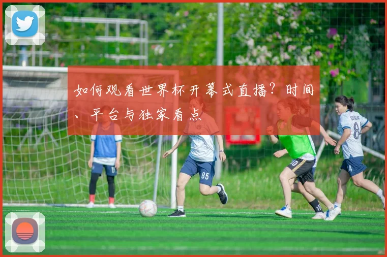 如何观看世界杯开幕式直播？时间、平台与独家看点