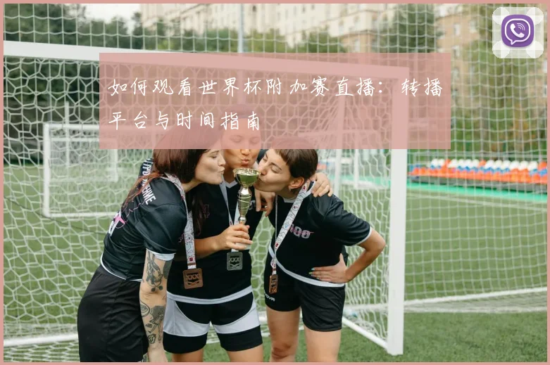 如何观看世界杯附加赛直播：转播平台与时间指南